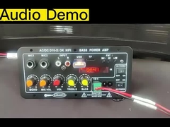 Versterkerbord D10-II voor 4 Ohm 40W luidspreker 110V 220V 12V 24V Subwoofer Audio Module