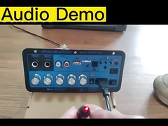 D60 50W Subwoofer Versterker Board Bluetooth Audio Versterker met optische audio 12V24V220V