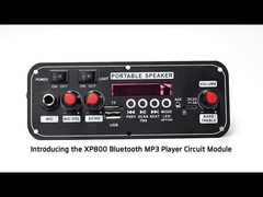 2x10W 7.4V Microfoon Trolley Speaker Draadloze Bedrade opties Interface FM Radio Sound Card BT Decodeer