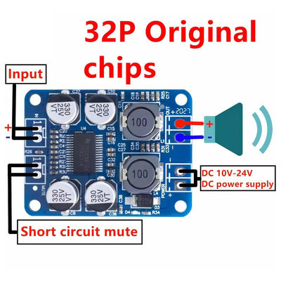 CA-3118 DC 12-24V PBTL Mono 60W Class D Power Amp Module Versterker Board
