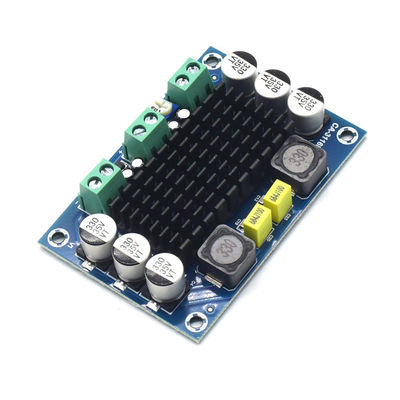 CA-3116D Originele 100W Mono Audio Versterker Board met TPA3116D2 Chip en 12-24V Input