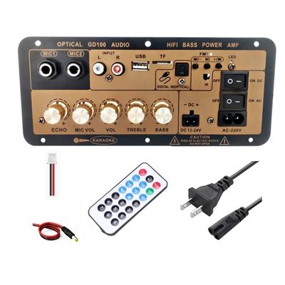 100W BT Mono Versterker Board met 2,0 kanalen voor Home en Car Audio