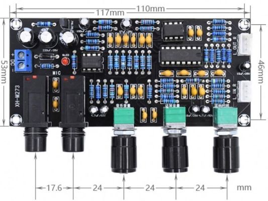 PT2399 NE5532 Microfoonversterker met DC12-24V werkspanning voor stereo-audioversterking