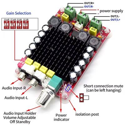 Dual Channel 100W Output Audio Amplifier Board met DC14-34V Input en Class D technologie