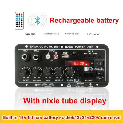 24V/220V Autoversterker Mono Audio Versterker met 120W Power Dual Microphone en Bluetooth voor Subwoofer en Karaoke