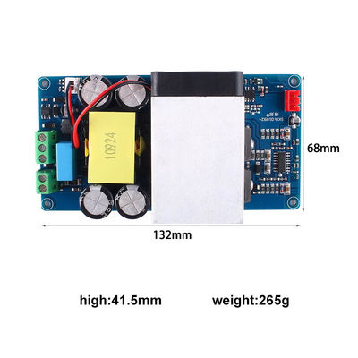 1000W Super Power Mono Digitale Versterker Board voor Subwoofers met 2 Kanalen Professionele Versterker