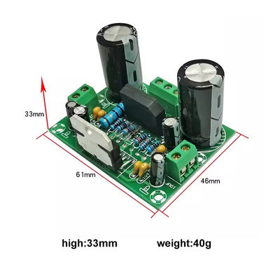 100W Mono Versterker Board met dubbele AC12-32V stroomvoorziening voor 2 kanalen