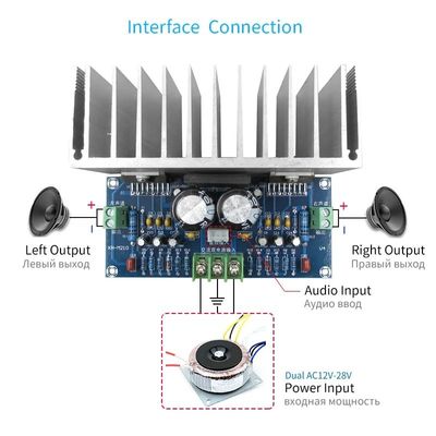 Hoogvermogen Audioversterker van klasse D 2*100W TDA7293 Stereo Digitale Versterker voor luidsprekers AC12-32V