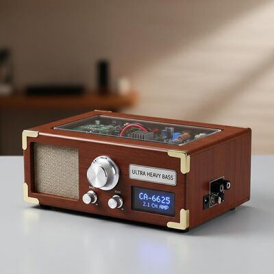 CA-6625 2.1 Channel Ultra Heavy Bass Digital Amplifier Board Module met 12V stroomvoorziening voor DIY Audio Projects